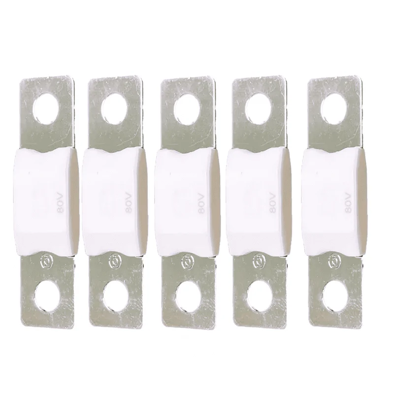 MEGA-fuse 200A/80V (5-pack)