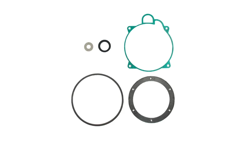 Gasket repair kit