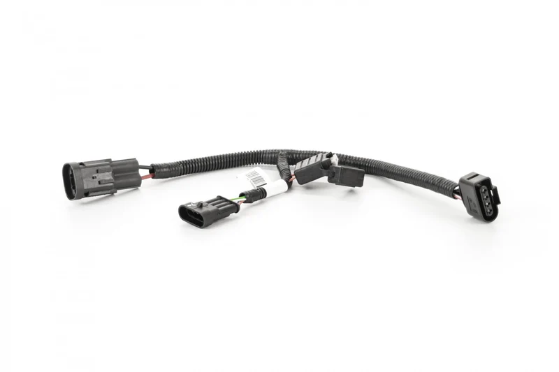 Wire harness with Fuse