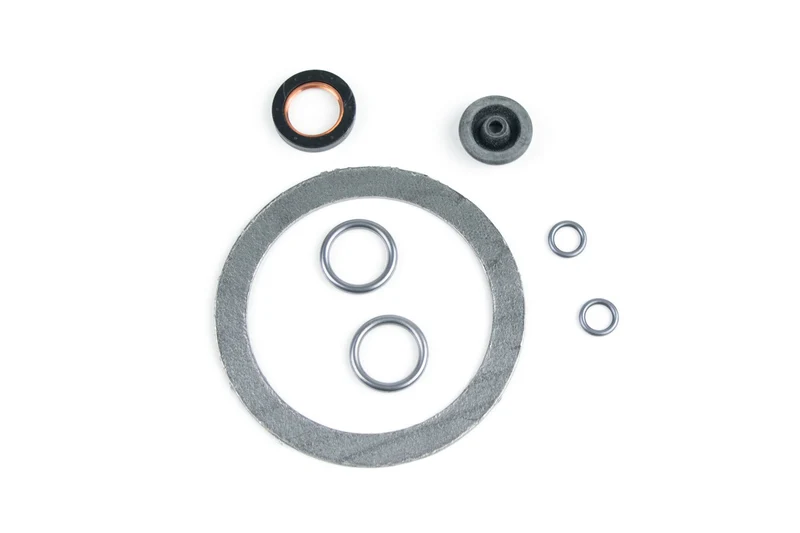 Gasket repair kit
