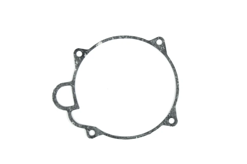 Air pump gasket