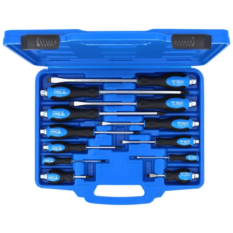 Brilliant Tools Mejselsats BT034012 – Komplett Sats med Skruvdragare
